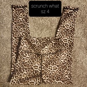 Zyia scrunch what sz 4